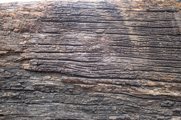 old wood background