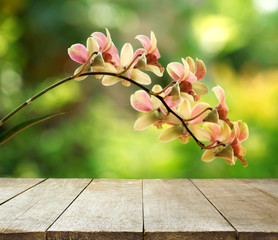 image of wooden table in front of orchid flower background