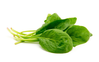 Spinach on a white background