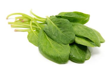 Spinach on a white background