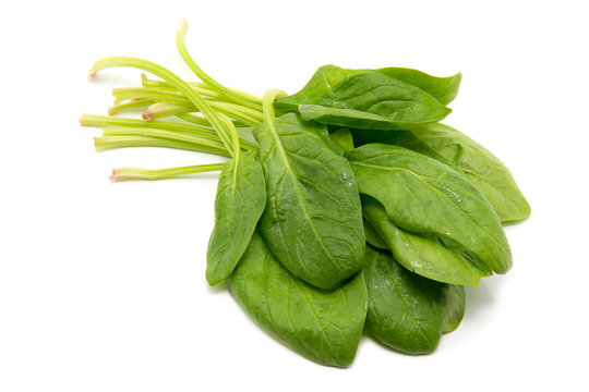 Spinach on a white background