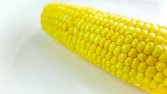 Corn Rotating on White Background