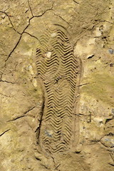 Fototapeta na wymiar Footprint on a muddy soil