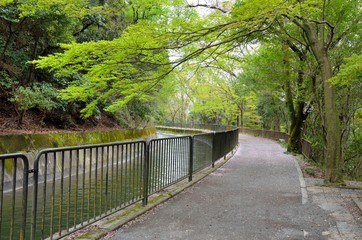 京都　山科疎水