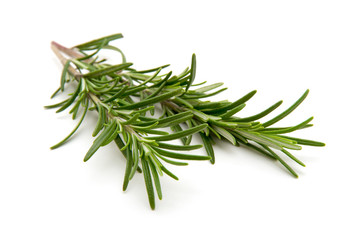 Fototapeta premium Twig of rosemary on a white background