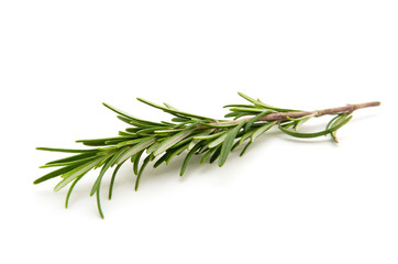 Fototapeta premium Twig of rosemary on a white background
