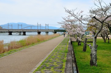 春の唐橋公園