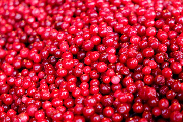 Frozen cranberries