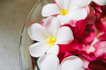 Plumeria and rose petals in the tub,Shallow depth of field with focus on Plumeria.