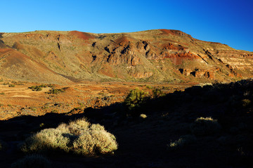 El Teide National Park, Tenerife, Canary Islands, Spain