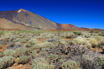 Sunrise light over El Teide Vocano, Tenerife, Canary Islands, Spain