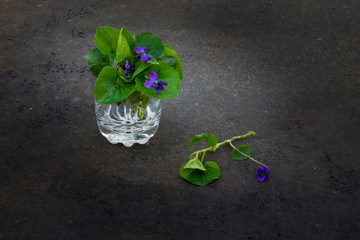bouquet of violets in glass  on a black  metal background.