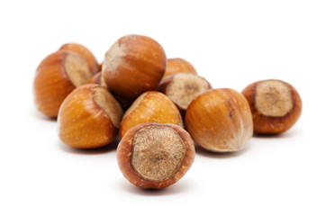 Hazelnuts on white background