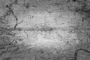 Wood cracked and dust background.