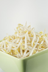 bean sprouts in green bowl