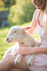 Close up image of cute, young lamb taking care by farmer woman. © Laszlo