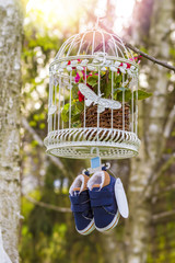 Blue baby shoes hanging from a cage and branch
