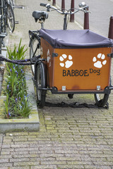 Funny bike with big basket for dogs