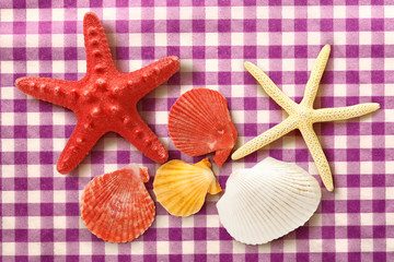 Fototapeta na wymiar Collection of sea shells and stars