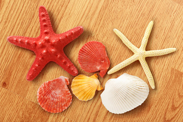 Fototapeta na wymiar Collection of sea shells and stars