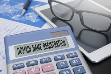 DOMAIN NAME REGISTRATION