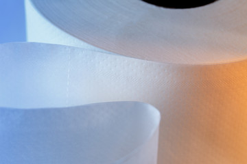 One white toilet paper roll