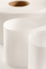 One white toilet paper roll