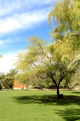 Obraz premium Park