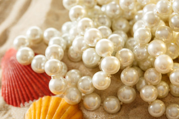 White pearl and seashells on sand