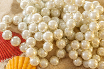 White pearl and seashells on sand