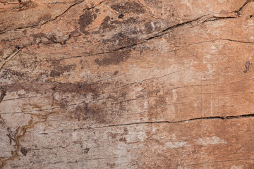 Old wood cracked and dust background texture.