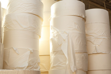 Toilet paper rolls