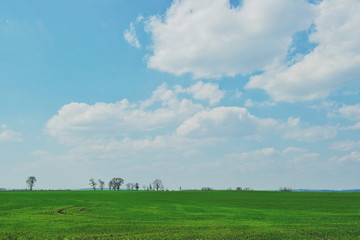 Green field