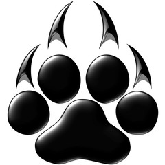 Obraz premium Footprints of a big cat. Panther or tiger traces. Vector ESP10