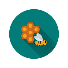 Bee and honeycomb icon
