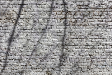 Alte Backsteinmauer mit Schattenwurf von Bäumen