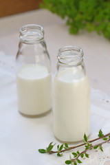 Obraz na płótnie Canvas Milk in bottles