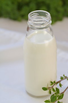Milk in bottles