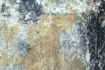 Grunge wall texture background, old paper texture
