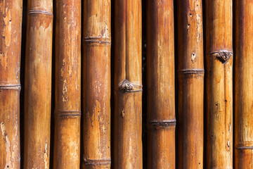 Old yellow bamboo texture background