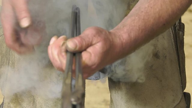 Farrier places the hot horseshoe to check  alignment