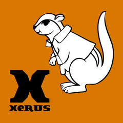 cartoon doodle xerus. letter x. part of animal alphabet.