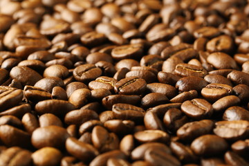 コーヒー豆
