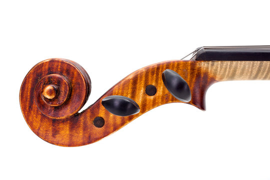Side view of violin pegs and scroll. Isolated on white