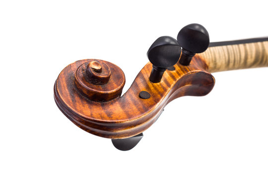 Close view of violin pegs and scroll. Isolated on white