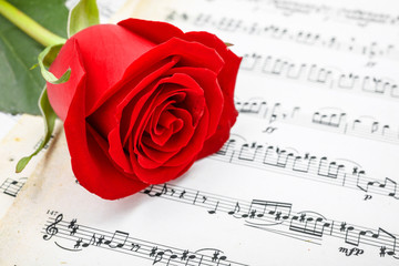 Red rose on musical sheet