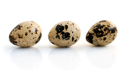 quail eggs closeup