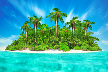 Naklejka premium Whole tropical island within atoll in tropical Ocean. Uninhabite