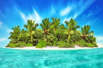 Foto op Plexiglas Whole tropical island within atoll in tropical Ocean. Uninhabite © BRIAN_KINNEY