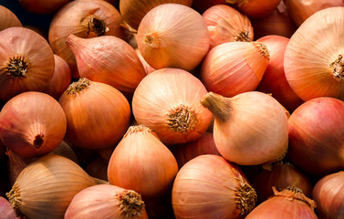 Onion background,Close up